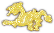 ASIAN DRAGON PIN  
